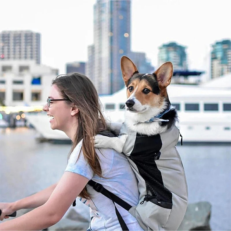 Sac à dos de randonnée pour chien