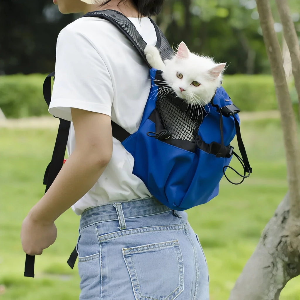 Sac à dos de randonnée pour chien