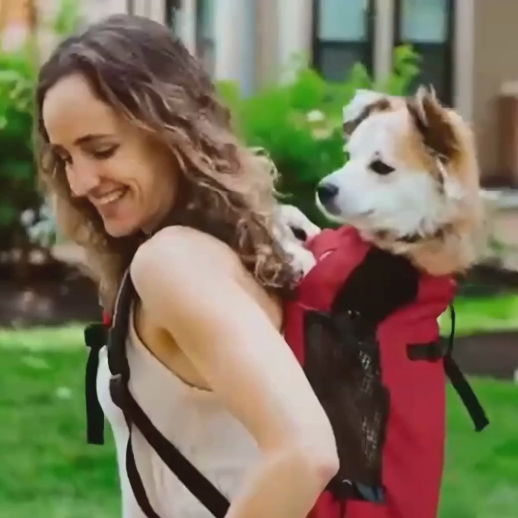 Sac à dos de randonnée pour chien