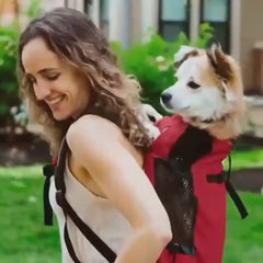 Sac à dos de randonnée pour chien